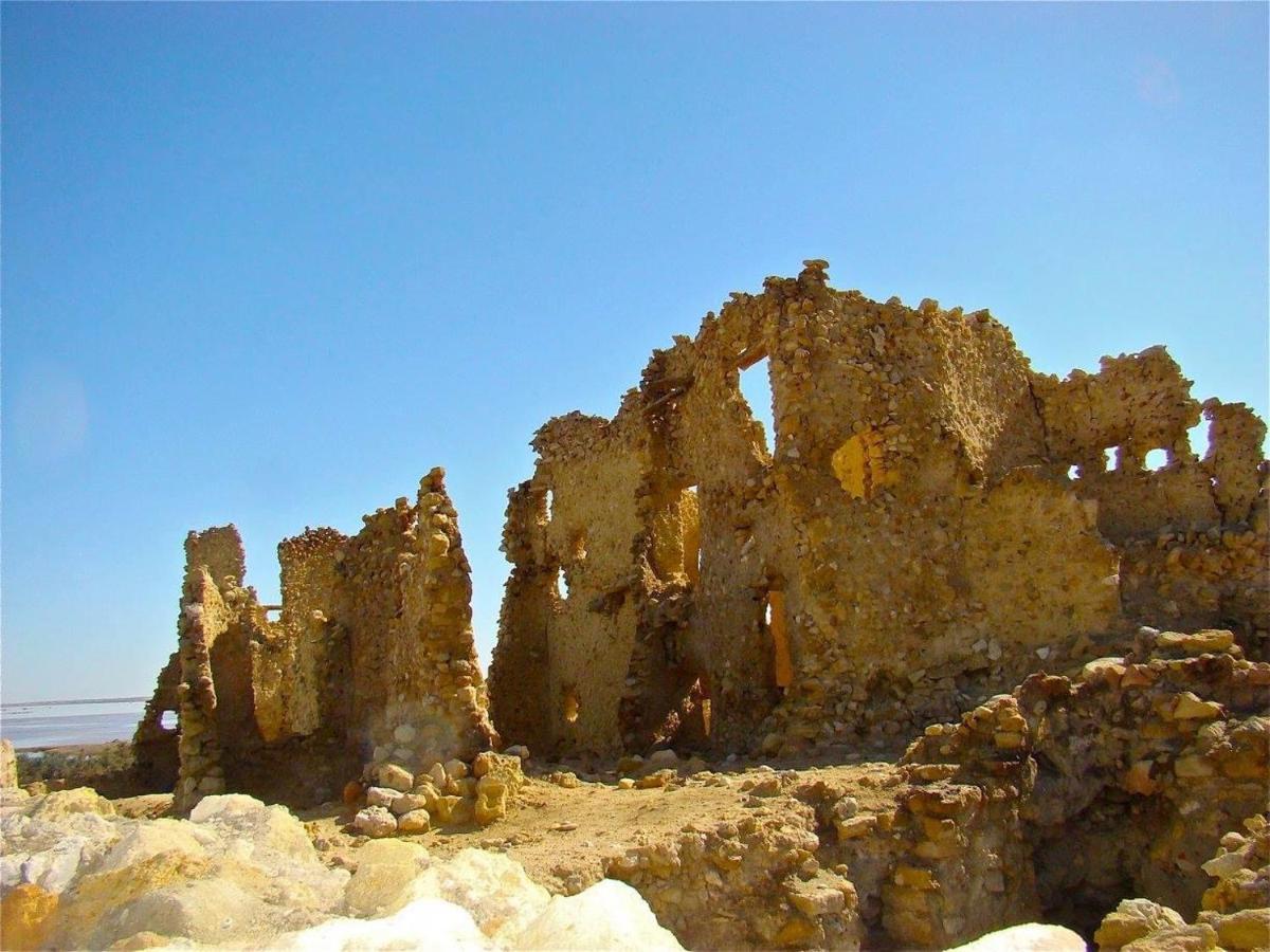 Siwa Paradise Siwa Oasis Exterior foto